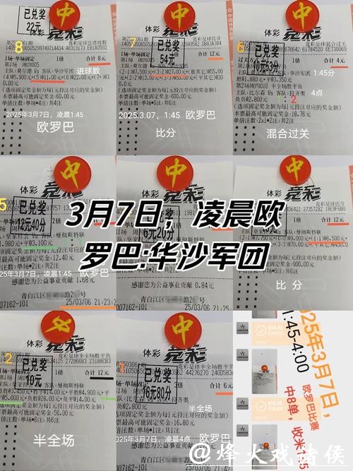 揭秘单届世界杯巨额投注量背后的秘密